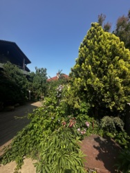 Продається будинок Одеська, Чорноморськ, Іллічівськ, Приморський фото 27 Продається будинок Одеська, Чорноморськ, Іллічівськ, Приморський фото 27