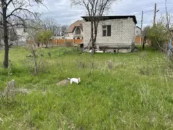 ��� ������������� ���� 8