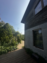 Продається будинок Одеська, Чорноморськ, Іллічівськ, Приморський фото 14 Продається будинок Одеська, Чорноморськ, Іллічівськ, Приморський фото 14