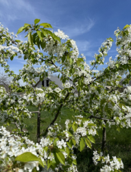Будинок Олександрівка фото 12 Будинок Олександрівка фото 12