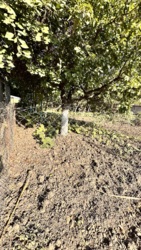 Продається будинок Одеська, Чорноморськ, Молодіжне, Комарова фото 7 Продається будинок Одеська, Чорноморськ, Молодіжне, Комарова фото 7