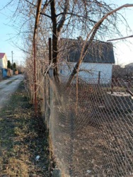 ������� ���� ���� 14