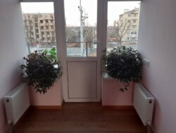 ��������� ������� ���������������, �����������, ������� ���� 23