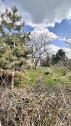 Продається будинок Садова, Іллічівськ, Чорноморськ, Одеська фото 9 Продається будинок Садова, Іллічівськ, Чорноморськ, Одеська фото 9