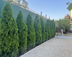 Продам дом фото 21 Продам дом фото 21