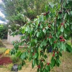 ̳öíèé áóäèíîê ó ÑÒ ßâà ôîòî 47 ̳öíèé áóäèíîê ó ÑÒ ßâà ôîòî 47