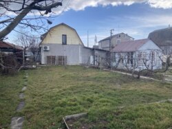 ������ ���� �� ����� ���� 10