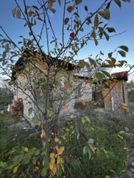 Дача з гарним розташуванням фото 7 Дача з гарним розташуванням фото 7