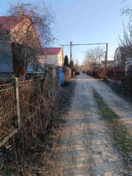 ������� ���� ���� 12