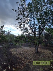 Затишний будинок у передмісті Чорноморська – ідеальне місце для життя та відпочинку! фото 32 Затишний будинок у передмісті Чорноморська – ідеальне місце для життя та відпочинку! фото 32