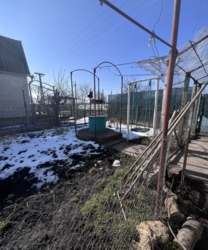 Продам дом фото 7 Продам дом фото 7