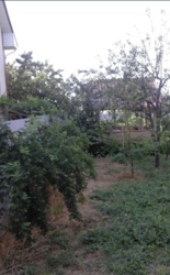 Дом на Заре фото 12 Дом на Заре фото 12