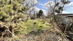 Продається будинок Садова, Іллічівськ, Чорноморськ, Одеська фото 8 Продається будинок Садова, Іллічівськ, Чорноморськ, Одеська фото 8