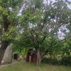 ̳öíèé áóäèíîê ó ÑÒ ßâà ôîòî 42 ̳öíèé áóäèíîê ó ÑÒ ßâà ôîòî 42