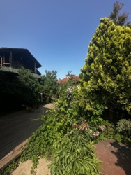 Продається будинок Одеська, Чорноморськ, Іллічівськ, Приморський фото 25 Продається будинок Одеська, Чорноморськ, Іллічівськ, Приморський фото 25