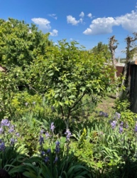 Терміново будинок з готовим бізнесом. фото 21 Терміново будинок з готовим бізнесом. фото 21