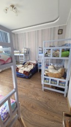 ��������� ������� ���������������, �����������, ������� ���� 11