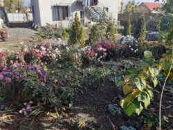 ��������� ������� ���������������, �����������, ������� ���� 28