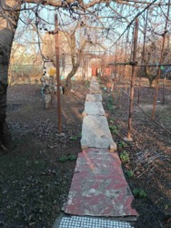 ������� ���� ���� 5