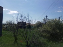 Життя біля міста фото 3 Життя біля міста фото 3