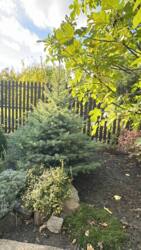 �������� ������� ��������� ��� ���� 11