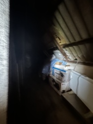 ��� ������ �� ����� ������� �� ����� ���� 46