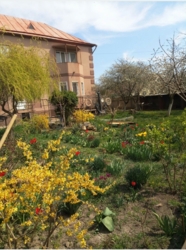 Продається будинок Чорноморськ, Одеська фото 17 Продається будинок Чорноморськ, Одеська фото 17