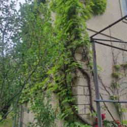 ̳öíèé áóäèíîê ó ÑÒ ßâà ôîòî 53 ̳öíèé áóäèíîê ó ÑÒ ßâà ôîòî 53