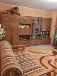 ��������� ������� �������������, �����������, ������� ���� 15