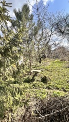 Продається будинок Садова, Іллічівськ, Чорноморськ, Одеська фото 7 Продається будинок Садова, Іллічівськ, Чорноморськ, Одеська фото 7