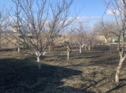 Продаєтся дача фото 2 Продаєтся дача фото 2