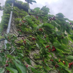 ̳öíèé áóäèíîê ó ÑÒ ßâà ôîòî 58 ̳öíèé áóäèíîê ó ÑÒ ßâà ôîòî 58