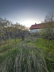 Дача з гарним розташуванням фото 11 Дача з гарним розташуванням фото 11