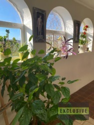 Продам 2-поверховий будинок у передмісті фото 24 Продам 2-поверховий будинок у передмісті фото 24