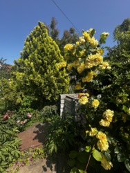 Продається будинок Одеська, Чорноморськ, Іллічівськ, Приморський фото 26 Продається будинок Одеська, Чорноморськ, Іллічівськ, Приморський фото 26