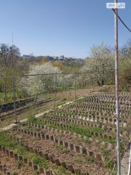 ��������� ������� ³�������, ³�����, �����������, ������� �� ���� 10