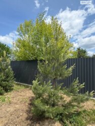 �� ���� ����� ����� ������� ��� ��� � ��� ���� 8