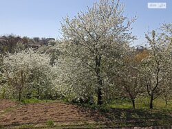 ��������� ������� ³�������, ³�����, �����������, ������� �� ���� 9