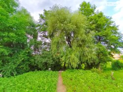 Продається цегляний будинок в с.Пирогово фото 13 Продається цегляний будинок в с.Пирогово фото 13