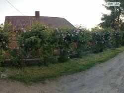 ��������� ������� ³�������, ³�����, �����������, ������� �� ���� 2