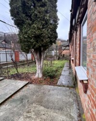 ������ ������� �� ���� ���� 23