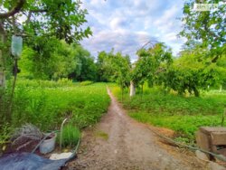 Продається цегляний будинок в с.Пирогово фото 11 Продається цегляний будинок в с.Пирогово фото 11