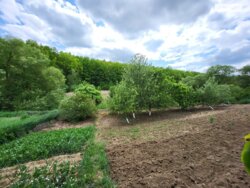 ������ 1- �� ����������� ������� ���� 8