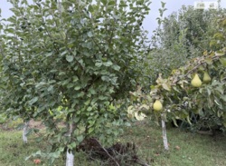 Продам будинок на Вінницьких Хуторах фото 24 Продам будинок на Вінницьких Хуторах фото 24