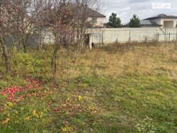 ������ 1-�� ����������� ������� ���� 6