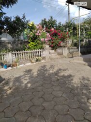 ��������� ������� ³�������, ³�����, �����������, ������� �� ���� 5