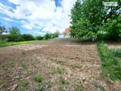 ������ 1- �� ����������� ������� ���� 10