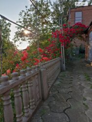 ��������� ������� ³�������, ³�����, �����������, ������� �� ���� 3