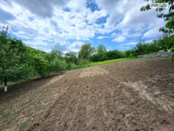 ������ 1- �� ����������� ������� ���� 9