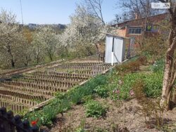 ��������� ������� ³�������, ³�����, �����������, ������� �� ���� 12